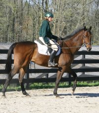 Knight Villain - April 3, 2005