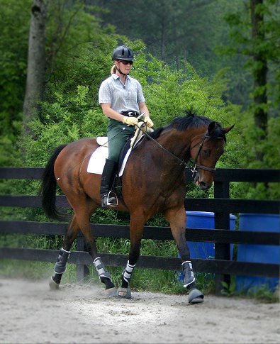 Tamara Meier and Knight Villian