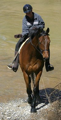 Knight Villain and Tammy enjoy a trail ride in Dawson Forest. March 4, 2007