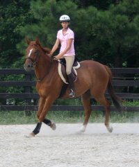 OTTB Light Artillery with young rider Chelsy Hall.
