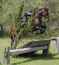 Lord Sexton at Flat Creek