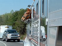 Lucky in the 4 Star horse trailer
