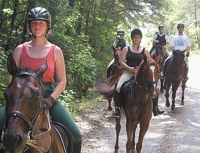 Thoroughbreds are all-round athletes good for any discipline of riding.