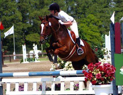 OTTB - Event horse for sale. Lylle.