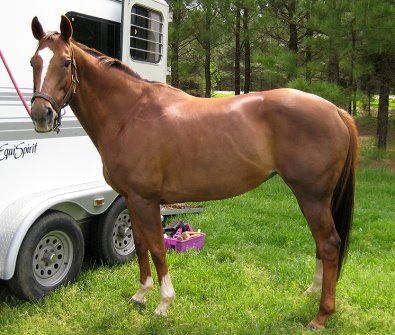 Lylle - May 2008