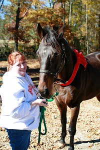 Maximum Impact aka Prospect Horse For Sale "Max" has a new mom.