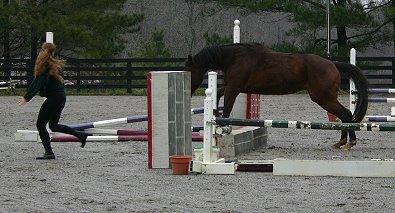 My Sparky Boy learned to jump by followin Lise over the brick wall.