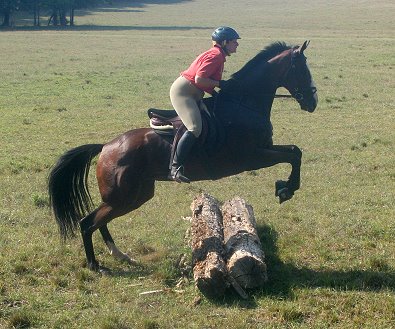 Elizabeth and Political Pull.