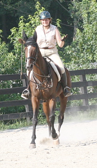 Elizabeth's third ride on the OTTB Polical Pull included cantering around the arena with no reins.