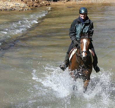 Crossing wide streams is an easy way to teach horses to cross water.