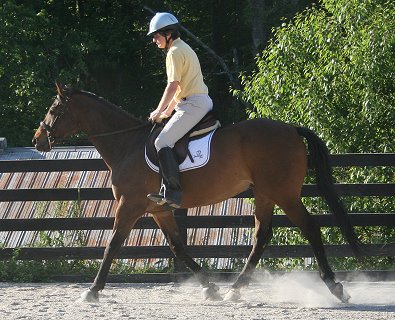Robert Horning enjoys a ride on Horse For Sale - Pride of the Fox. May 6, 2008 