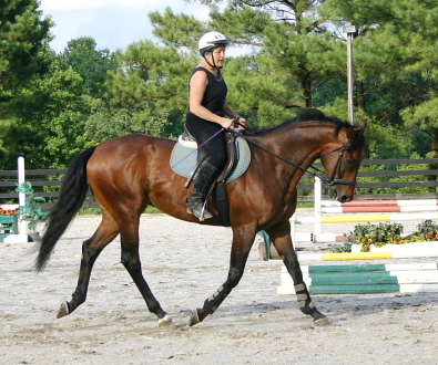 Vera Vogt and OTTB Pride of the Fox working on their dressage skills.