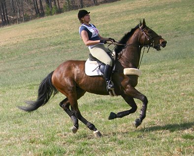 Pride of the Fox and Ally Giles enjoying a good gallop.
