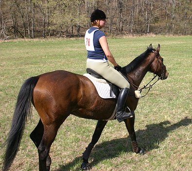 Pride of the Fox and Ally Giles enjoying a good gallop.