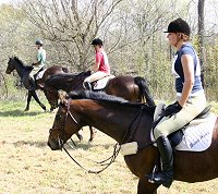 Ally rode Pride of the Fox for much of the day without reins! 