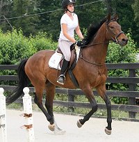 Pride of the Fox and friend. June 2, 2007 