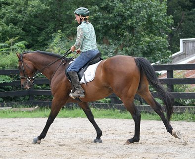 Our visitor from Florida, Mim Strote and OTTB - Pride of the Fox. July 18, 2007