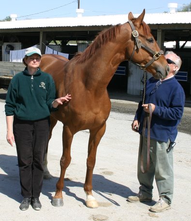 Elizabeth with Sand Trapper was an April 2005 Prospect Horse for Sale.