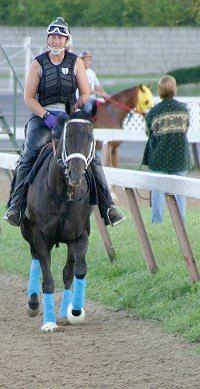 Becky and her horse Blue Electra at the track.