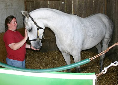 Chick's Hope was the second horse purchased by veterinary surgeon Dr. Jennifer Dunlap from Bits & Bytes Farm.