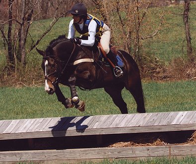 El Piasso has a new career as an event horse in Virginia.