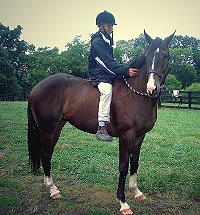 El Piasso being ridden bareback by a child. - August 2005