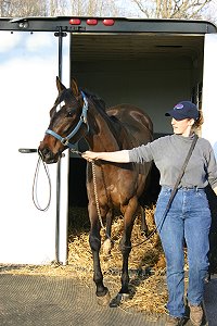 Miss with Attitude aka "POCO" is lead off the trailer by her former race trainer upon arriving at Bits & Bytes Farm.