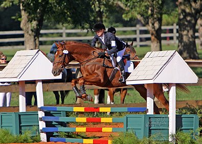 Fromer Prospect Horse for Sale - Sand Trapper aka "Disturbing the Peace" - October 2005