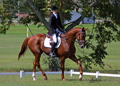 Sand Trapper aka "Disturbing the Peace" at the Fort Rucker Horse Trials. - October 15, 2005