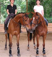 Fame and Steffie's Hope.