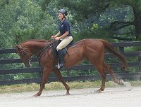 Gloria rides Fame's half brother Secret.