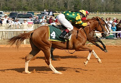 Aiken, SC has race trials for the young Thoroughbreds.
