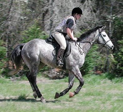 Smokey and Amy on course.