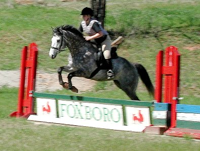 Got Um Smoke Um and Amy in competition.