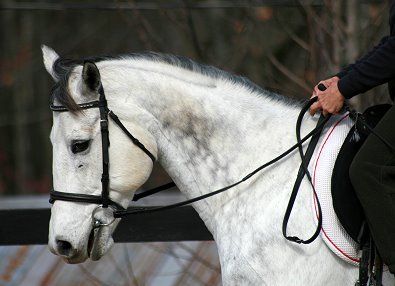 OTTB - Got Um Smoke Um visited Bits & Bytes Farm for some training. November 22, 2006