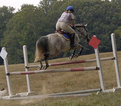 Got Um Smoke Um and Amy Macintire warming up for their first Training level event.