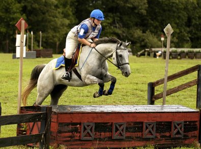 Photo copyright Mark Walter Lehner. Go to HoofClix.com