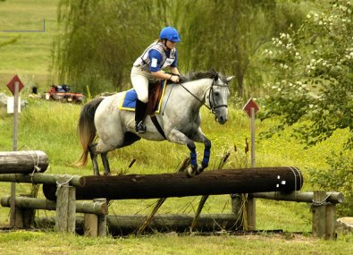 Photo copyright Mark Walter Lehner. Go to HoofClix.com