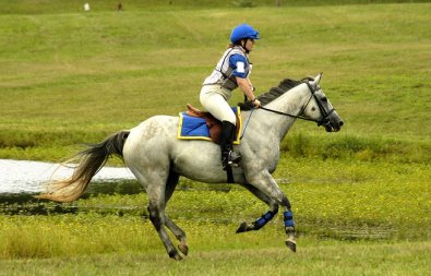 Photo copyright Mark Walter Lehner. Go to HoofClix.com