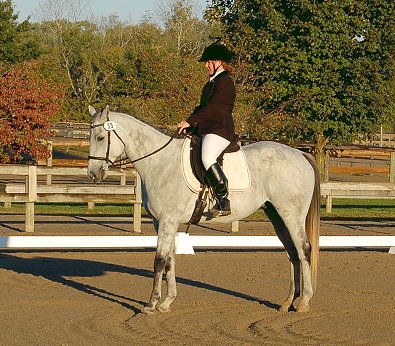 OTTB in dressage class with his young owner.