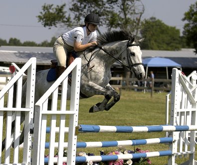 Photo copyright Mark Walter Lehner.Go to HoofClix.com to see more photos of Got Um Smoke Um and Amy Macintire. www.HoofClix.com Thank you Mark for the use of these beautiful photos!!!