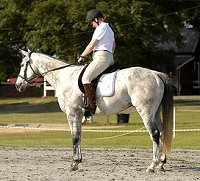 Photo copyright Mark Walter Lehner.Go to HoofClix.com to see more photos of Got Um Smoke Um and Amy Macintire. www.HoofClix.com Thank you Mark for the use of these beautiful photos!!!