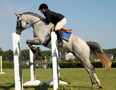 Photo copyright Mark Walter Lehner. Go to HoofClix.com