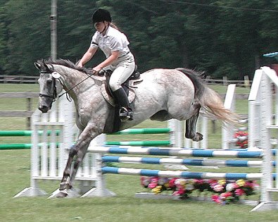 Got Um Smoke Um competes in combined training events with his mom Amy.