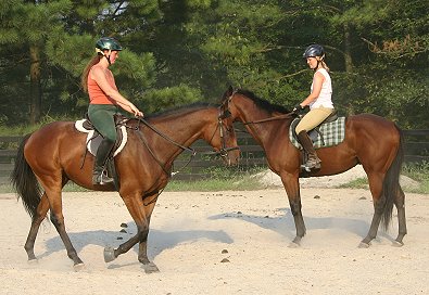 Snowdance Kid and Austin's Wolf. August 2005