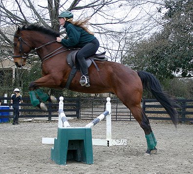 Lise Matte on Snowdance Kid.