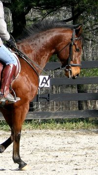 Snowdance Kid - January 7, 2006