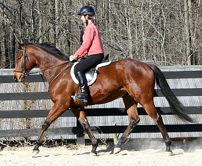 Snowdance Kid and a visitor. January 8, 2006