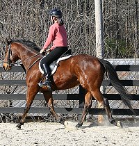 Snowdance Kid and a visitor. January 8, 2006