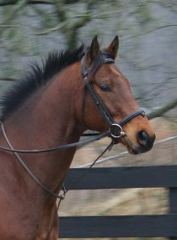 Snowdance Kid - January 22, 2006 